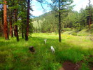 photo thumbnail #10