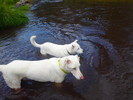 photo thumbnail #12