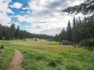 photo thumbnail #2