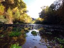 photo thumbnail #1