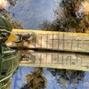 photo thumbnail #8