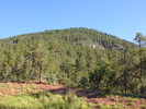 photo thumbnail #2