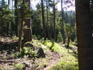 photo thumbnail #4