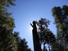 photo thumbnail #6