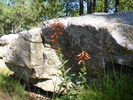 photo thumbnail #9