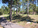 photo thumbnail #14