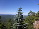 photo thumbnail #15