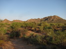 photo thumbnail #1