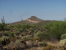 photo thumbnail #7