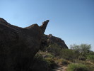 photo thumbnail #12