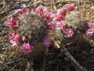 photo thumbnail #13