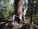 photo thumbnail #5