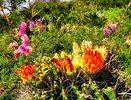 photo thumbnail #14