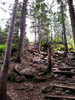 photo thumbnail #12