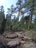 photo thumbnail #8