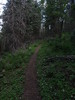 photo thumbnail #13