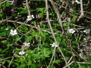 photo thumbnail #15