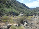 photo thumbnail #2