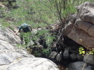 photo thumbnail #8