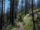 photo thumbnail #6