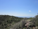 photo thumbnail #12
