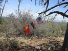 photo thumbnail #14