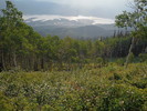photo thumbnail #1