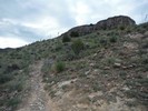 photo thumbnail #7