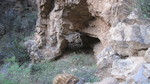 photo thumbnail #3