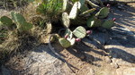 photo thumbnail #6