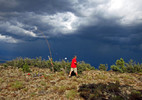 photo thumbnail #12