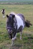 photo thumbnail #13