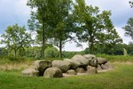 photo thumbnail #15