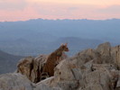 photo thumbnail #2