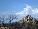 photo thumbnail #2