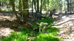 photo thumbnail #8
