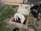 photo thumbnail #3
