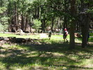 photo thumbnail #11