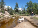 photo thumbnail #15