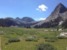 photo thumbnail #12