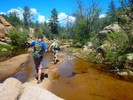 photo thumbnail #12