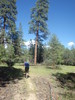 photo thumbnail #15