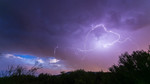 photo thumbnail #7