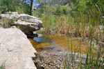 photo thumbnail #2