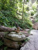 photo thumbnail #7
