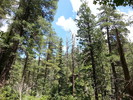 photo thumbnail #14