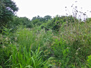 photo thumbnail #10