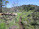 photo thumbnail #11