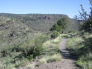 photo thumbnail #12