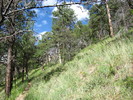 photo thumbnail #7